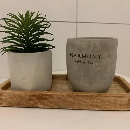 아파트 Weiss Mauchen 슐링겐